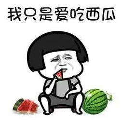 吃瓜老衲娱乐圈